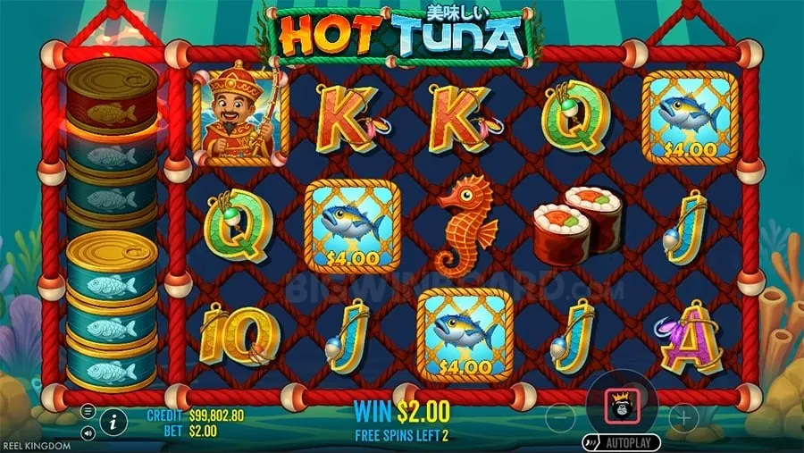 Live Game Shows at Winslot